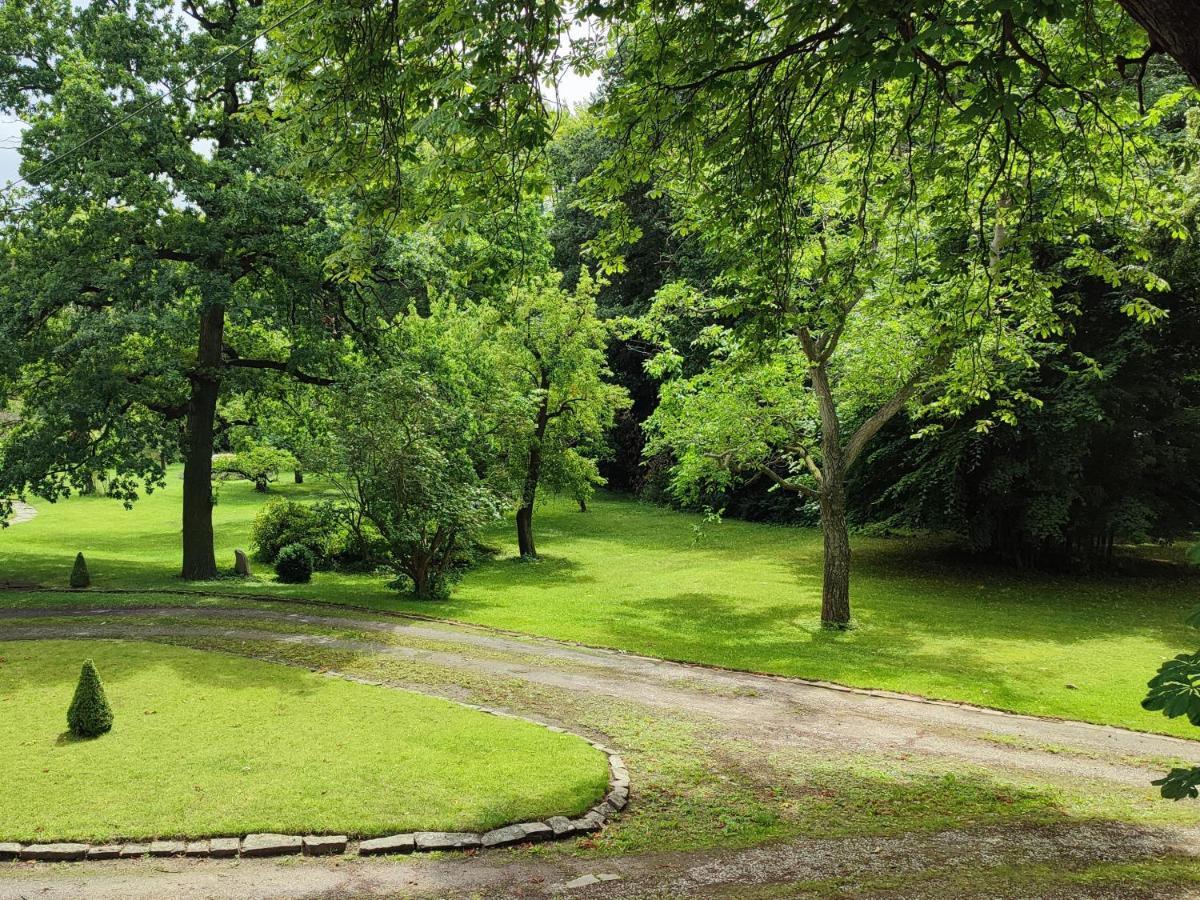 Mit Parkblick Am Harz Apartment *
